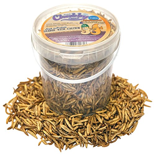 Chubby Mealworms Mélange séché vers de farine et de larves de mouches soldat - 1 litre