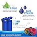Zipfizz Daily Energy Drink Powder, Blue Raspberry, 20 Pack | 3-in-1 Sustained Energy, Rapid Hydration, and Essential Vitamins | Sugar-Free | Electrolyte Powder | Contains Vitamin B-12 & Antioxidants