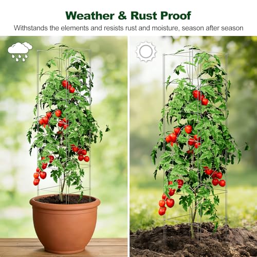 SPECILITE Square Foldable Tomato Cages 3 Pack, 13\" W x 56\" H Heavy Duty Galvanized Steel Plant Support Trellis for Garden, Tomatoes, Plant, Tool-Free & Rust Resistant for Outdoor Use (Include Gloves)