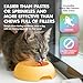 LIQUID-VET Premium 10-in-1 Cat Wellness Multi-Supplement: Glucosamine, Cranberry Extract, Prebiotics, for Cats – Ultimate Feline Joint, Urinary, Skin, Immune, Digestive Formula Specifically for Cats