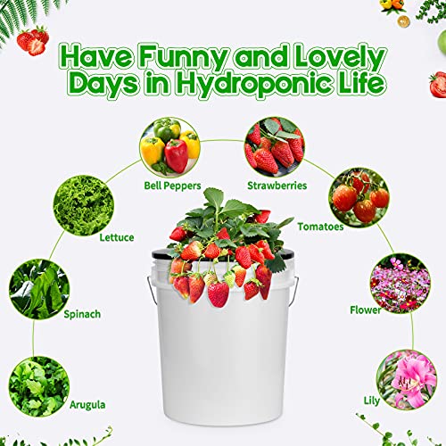 Tectsia 3 Pack Net Pots 6 Inch For 5 And 3.5 Gallon Bucket Net Pot Lids, Wide Lip Hydroponic Bucket Lids, Dwc Basket Lids For 5 Gallon Bucket #TOP3