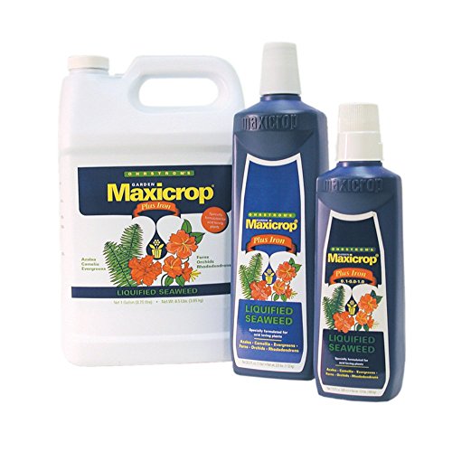 Plus Iron Liquid Seaweed Plant Nutrient Size: 1 Quart