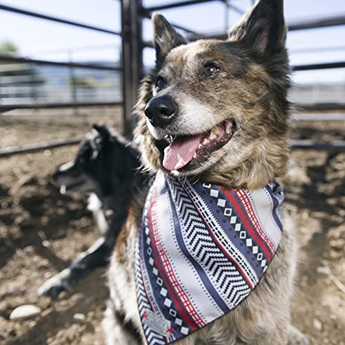 Hooey Mercantile Dog Bandana, Durable Polyester Dog Bandana With Graphic-Inspired Prints, Baja, One Size #TOP3