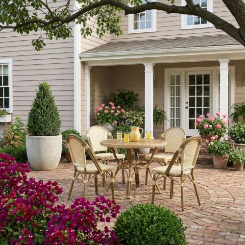 Image of PURPLE LEAF French Dining Chairs Set of 4, Armless, Bamboo Finish, Yellow