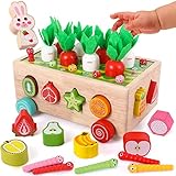 Atoylink Montessori Spielzeug Holzspielzeug Sortierspiel Motorikspielzeug Baby Magnetisches Holzpuzzle Karottenernte 4-in-1 Feinmotorik Lernspielzeug Geschenk für Kinder Mädchen Jungen ab 1 2 3+