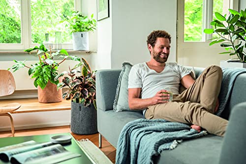 Lechuza Trendcover 32 Felt Grigio Scuro 14192 - 5