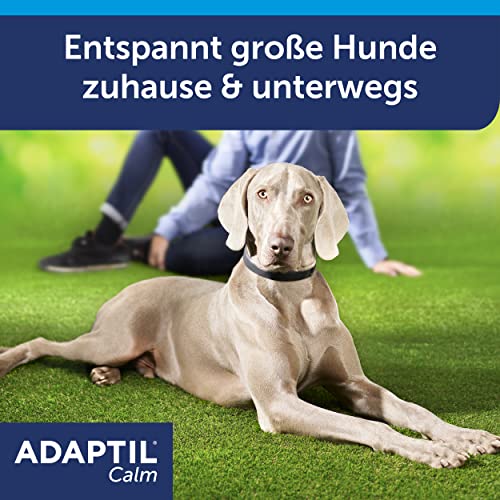 ADAPTIL Calm Halsband, 30 Tage Anwendung, klinisch getestet, Größe M/L