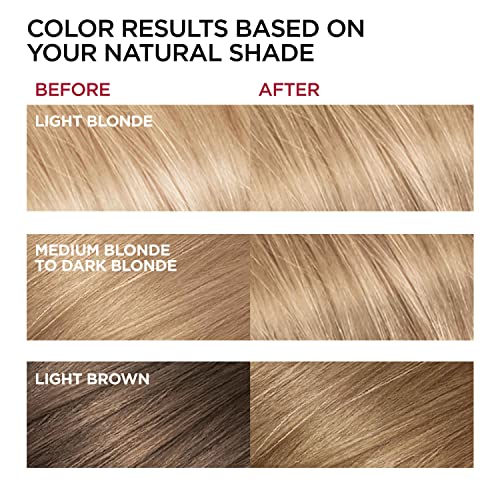 L'oreal Paris Superior Preference Fade-Defying + Shine Permanent Hair Color, 8 Medium Blonde, Pack Of 1, Hair Dye #TOP10