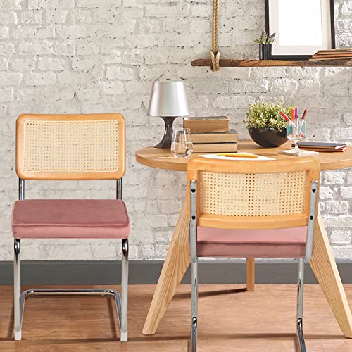 Joyside Dining Chair Set Of 2, Mid-Century Modern Chairs With Metal Chrome Legs, Armless Mesh Back Cane Chairs With Rattan Backrest Upholstered For Home Kitchen Dining Room, Pink #TOP1