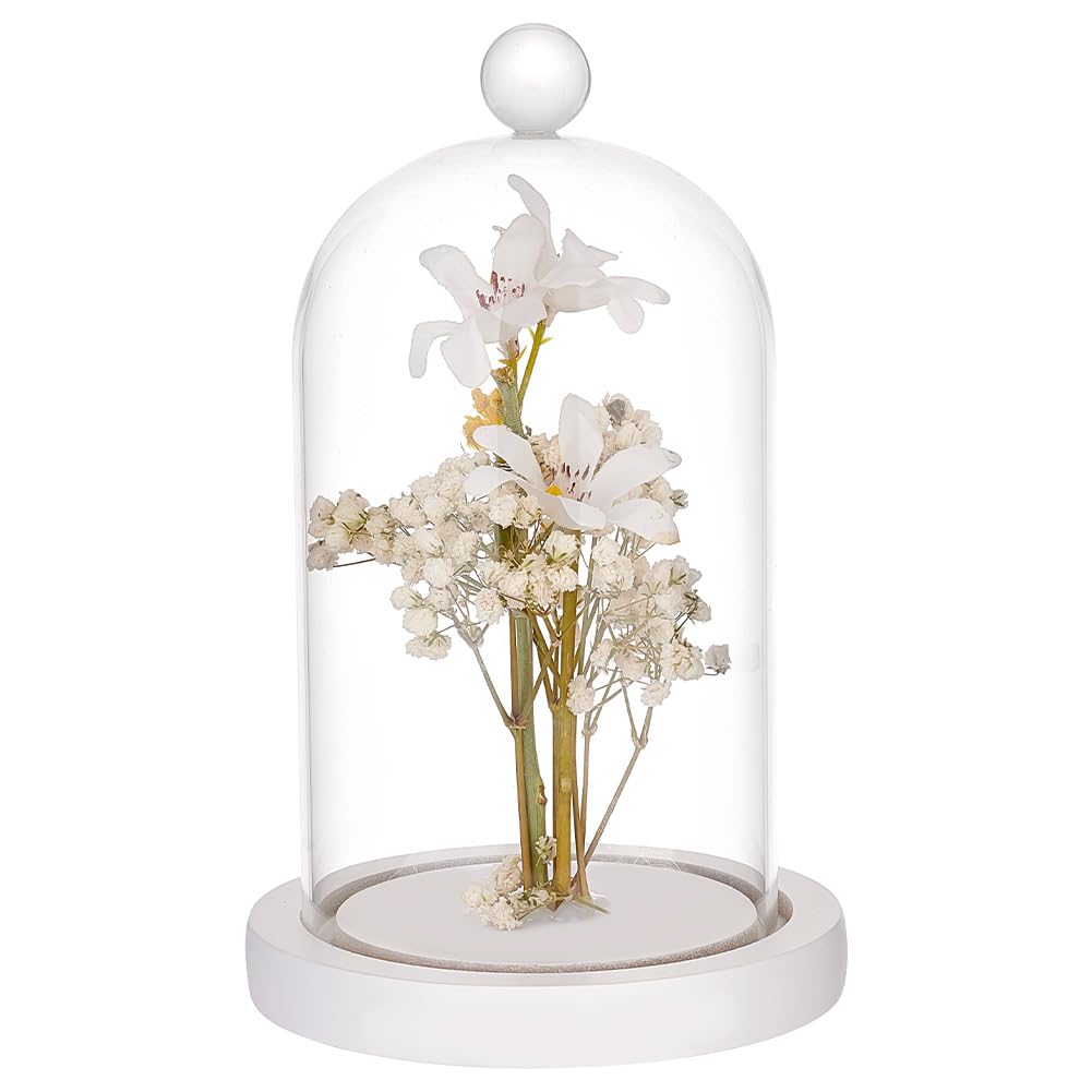 PH PandaHall Glass Dome with Base Cloche Cloche Bell Jar Display Dome Case Glass Decoration Bottles for Plants Flower Display Clay Succulents Storage Home Party Favor Decoration 3.5x7 inch