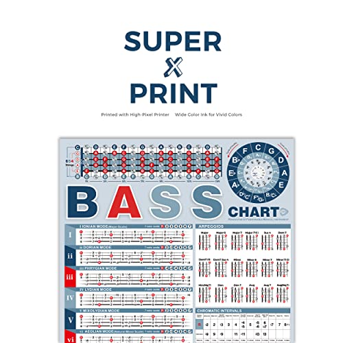 Bass Note Chart of Scale Chords Bass Reference Poster for Beginners