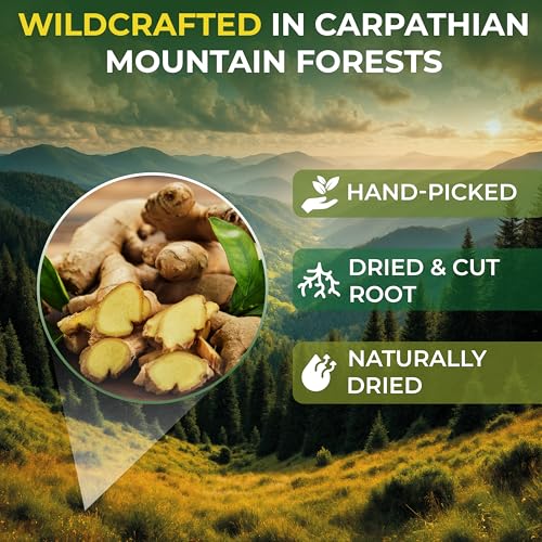 Image of 100 Bags Ginger Tea Ginger Root Tea Dry Dried Herb (Zingiber Officinale) - 100 Count 1.5g Bags Raiz De Jengibre