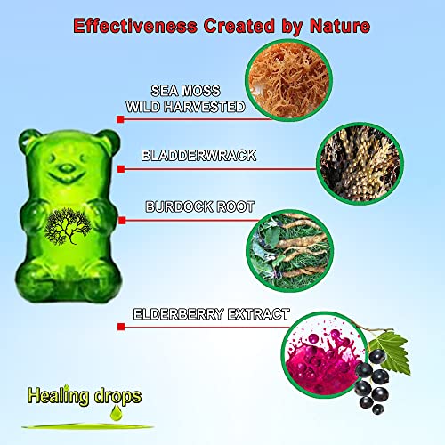 Healing Drops Irish Sea Moss Elderberry Gummies - Vitamin C D + Zinc - Bladderwrack Burdock Gummy - Vegan Keto Detox - Healthy Thyroid Gut Skin Joint Alkaline Supplements #TOP1