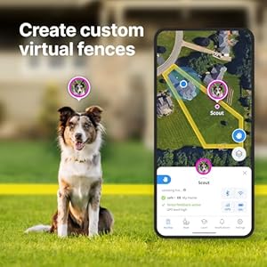 Halo Collar 4 All New GPS Wireless Dog Fence Training Collar with Real Time Tracking Waterproof One Size 4 Colors