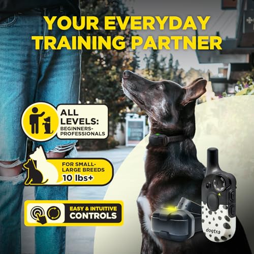 Image of Dogtra 200iQ Remote Training E Collar - 100 Levels, Tone, Vibration, 1 /2 Mile Range - Compact, Waterproof, One-Handed Control for Dogs 10 lbs+ - Lightweight Design for Daily Training - Modern Dots