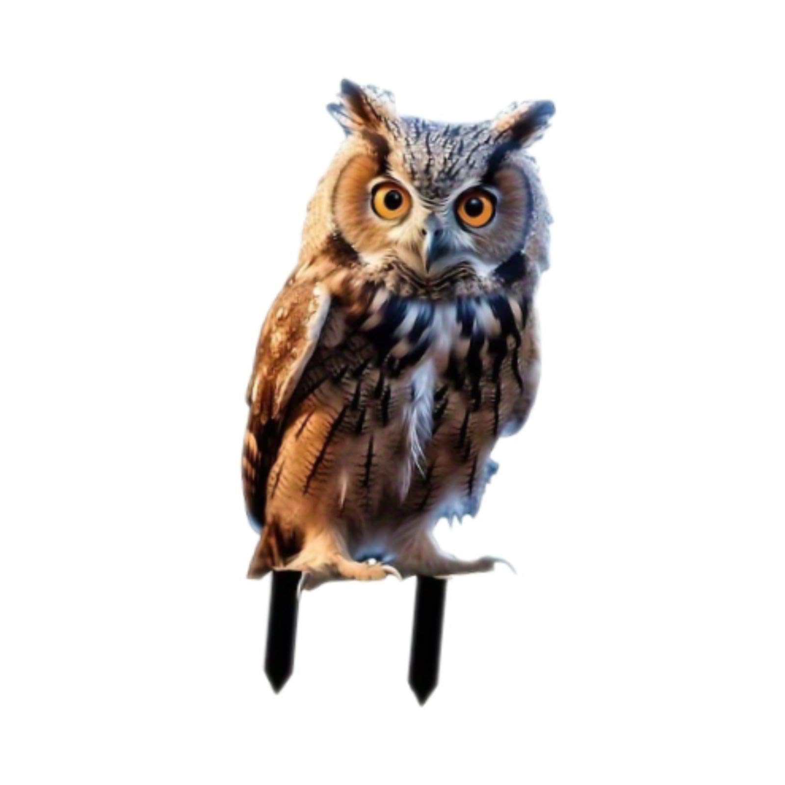 VELURA Yard Stake Acrylic Owl Garden Ornament Yard Sign for Courtyard Outdoor Patio|1 Set Water Valve Dome Assembly|Statues & Lawn Ornaments| Yard, Garden & Outdoor Living-image-37