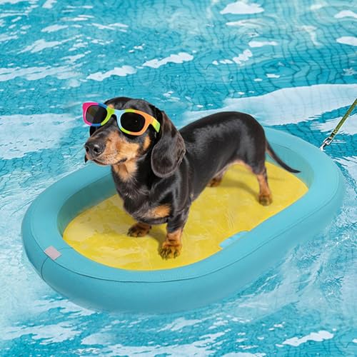 Support stable pour les journées chaudes de votre chien - 2
