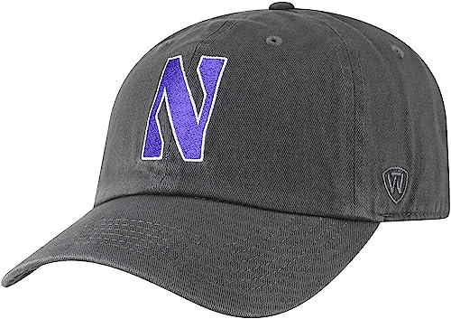 Collegiate Hats - Fitted Caps Adjustable Hats and Snapbacks Available (Adjustable Hat, Northwestern Grey)