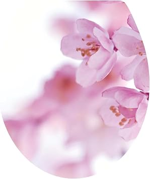 BooDecal Pink Flowers Toilet Seat Cover Vinyl Wall Decals 12 x 15 inches | Removable, Reusable, Peel and Stick, For Bathroom Washroom