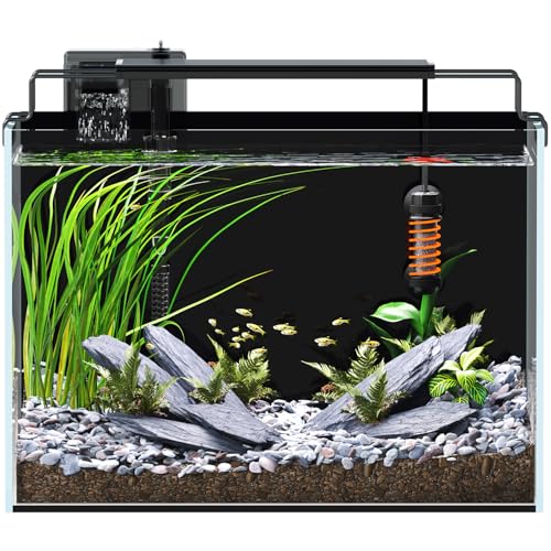 5 Gallon Rimless Betta Tank Kit
