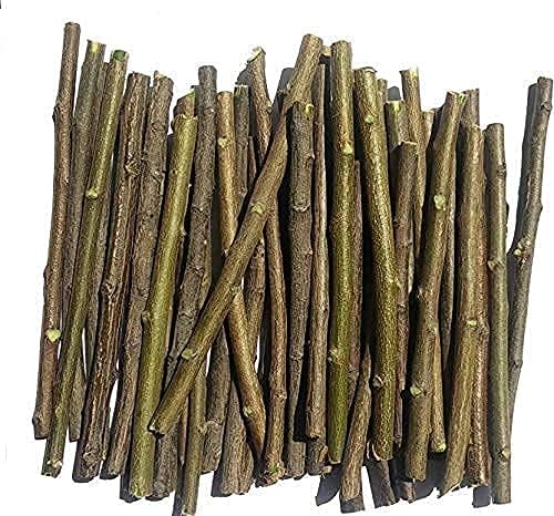 Awadh - Ayurvedic Natural Organic Neem Datun Toothbrush Neem Tree Twigs Chew Sticks for Brushing Teeth Removes Bad Breath, Relieve Tooth Ache, Healthy Datun, Toothpaste (Pack of 20)-picture-32