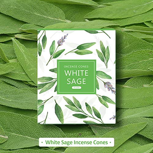 Incense Cones, White Sage Scented Incense Cones With Holder, White Sage Incense Gifts For Mothers Day, Fragrance For Aromatic Rooms Relaxation, 120 Cones Total #TOP1