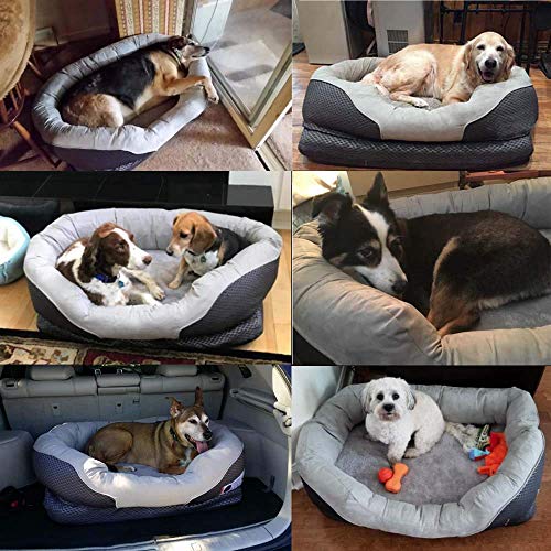 Pet Deluxe Dog and Puppy Bed, Grooved Orthopedic Foam Beds with Removable Washable Cover, Ultra Comfort, Padded Rim Cushion, Nonslip Bottom, for Dogs/Puppies - Grey (Large - 38'' x 30'') - Thumbnail 3