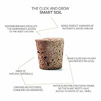 Click & Grow Schwarze Petersilie Nachfüllkapseln, 3er-pack für Smart Garden – Ansicht 8