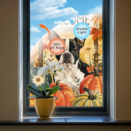Vinilo Decorativo Otoño Boston Terrier 31x47 pulg miniatura 4