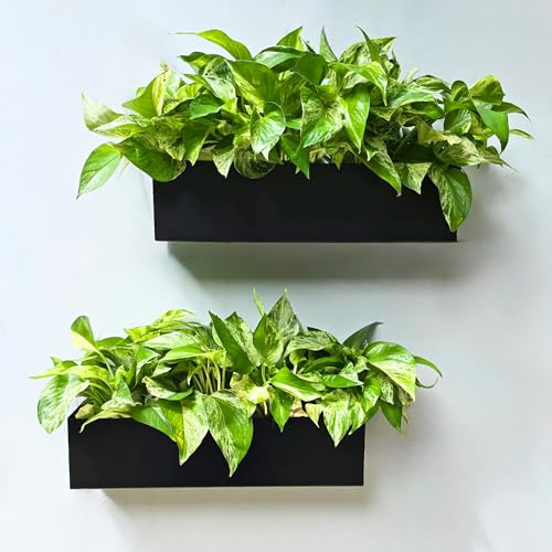 LaLaGreen Wall Planter 16 Inch