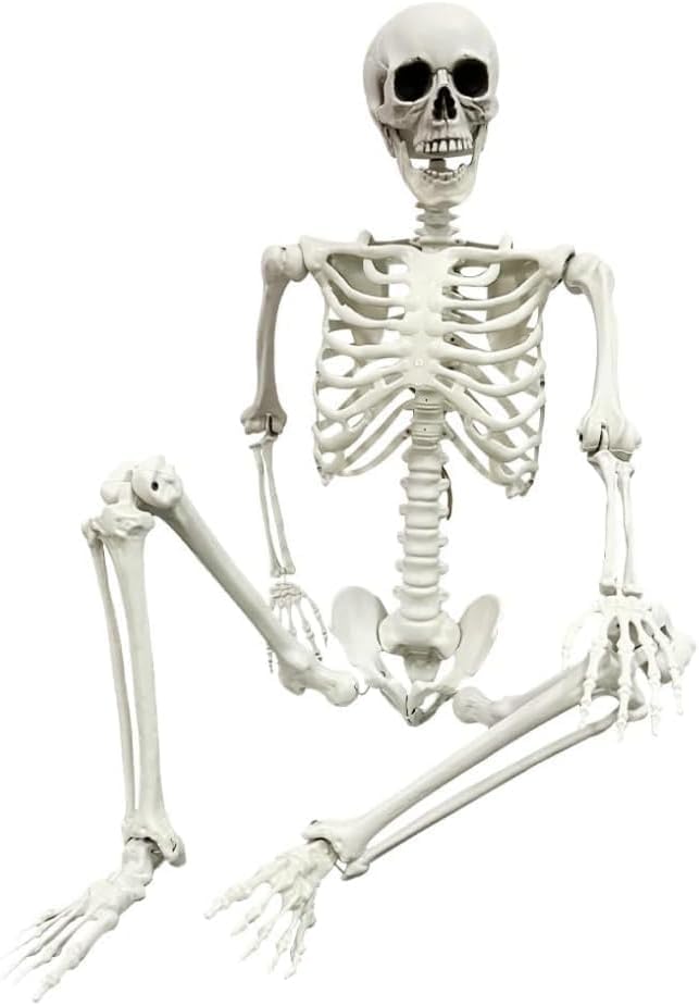 Squelette Halloween poseable 165 cm décor de cimetière blanc