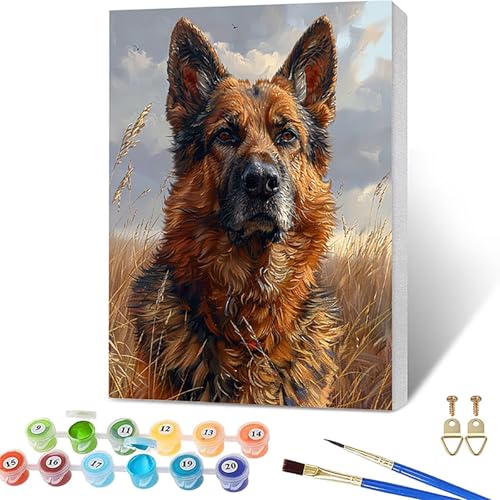 �������G �z���t�� ��, ���G �L�����o�X �A��, DIY Paint by Numbers for Adults �܂� �A�N�����y�C���g������ �u���V, �����h��G �y�C���g�o�C�i���o�[, �K�؂� ��l ���S��, �z�[�� �I�t�B�X����, �M�t�g ����, 