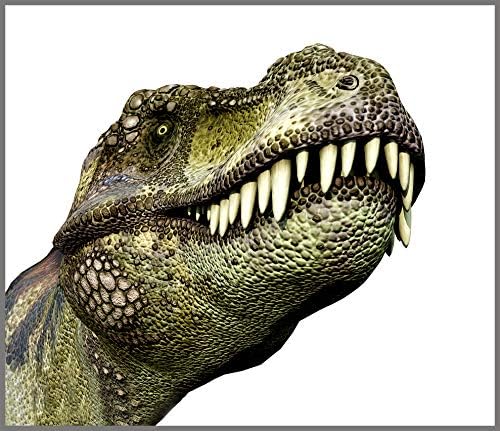 Brainstorm Toys E2046 Projector and Nightlight, Dinosaur