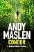 Condor (The Gabriel Wolfe Thrillers Book 3)