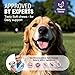 Dog Allergy Chews 200ct - Dog Allergy Itching Skin Relief & Immune Support Anti Itch Probiotics for Yeast, Itchy Skin and Itchy Ears, Vitamins for Seasonal Allergies Itchy Skin, Gut Health, Chicken