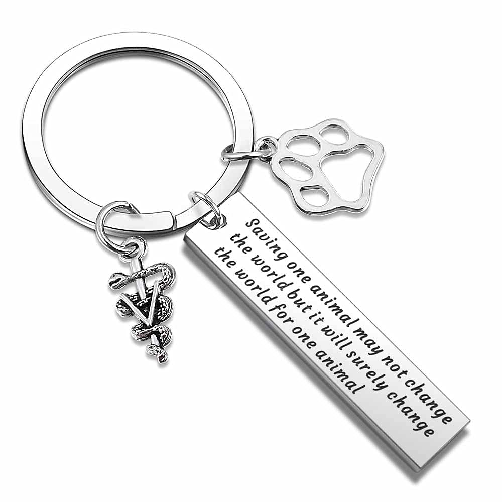 Picalela Veterinary Keychain Veterinarian Gift Vet Tech Gift Animal Rescue Gift, Vet Appreciation Gift Vet Medical Jewelry