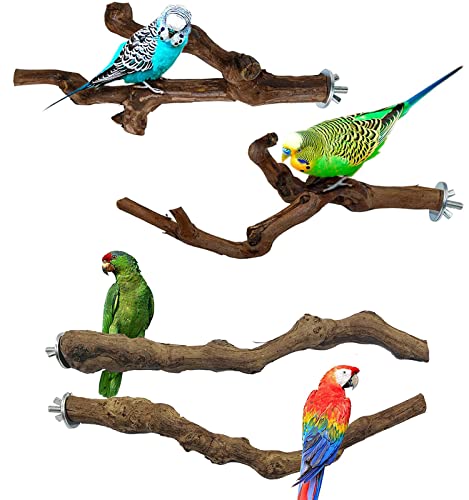 インコ おもちゃ インコ 止まり木 止まり木 止まり台 自然木 噛むおもちゃ ブドウの木製造 4点セット入り (25-30cm) インコ おもちゃ インコ 止まり木 止まり木 止まり台 自然木 噛むおもちゃ ブドウの木製造 4点セット入り (25-30cm)