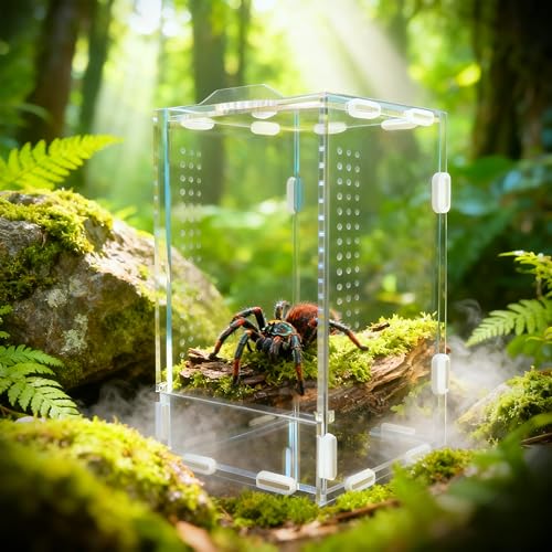 BGGo Jumping Spider Enclosure, Front-Opening Acrylic Spider Terra...