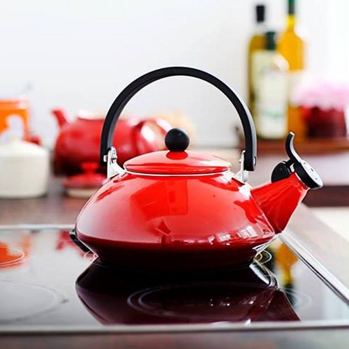 Amazon.com: Le Creuset Enamel On Steel Zen Tea Kettle, 1.6 qt