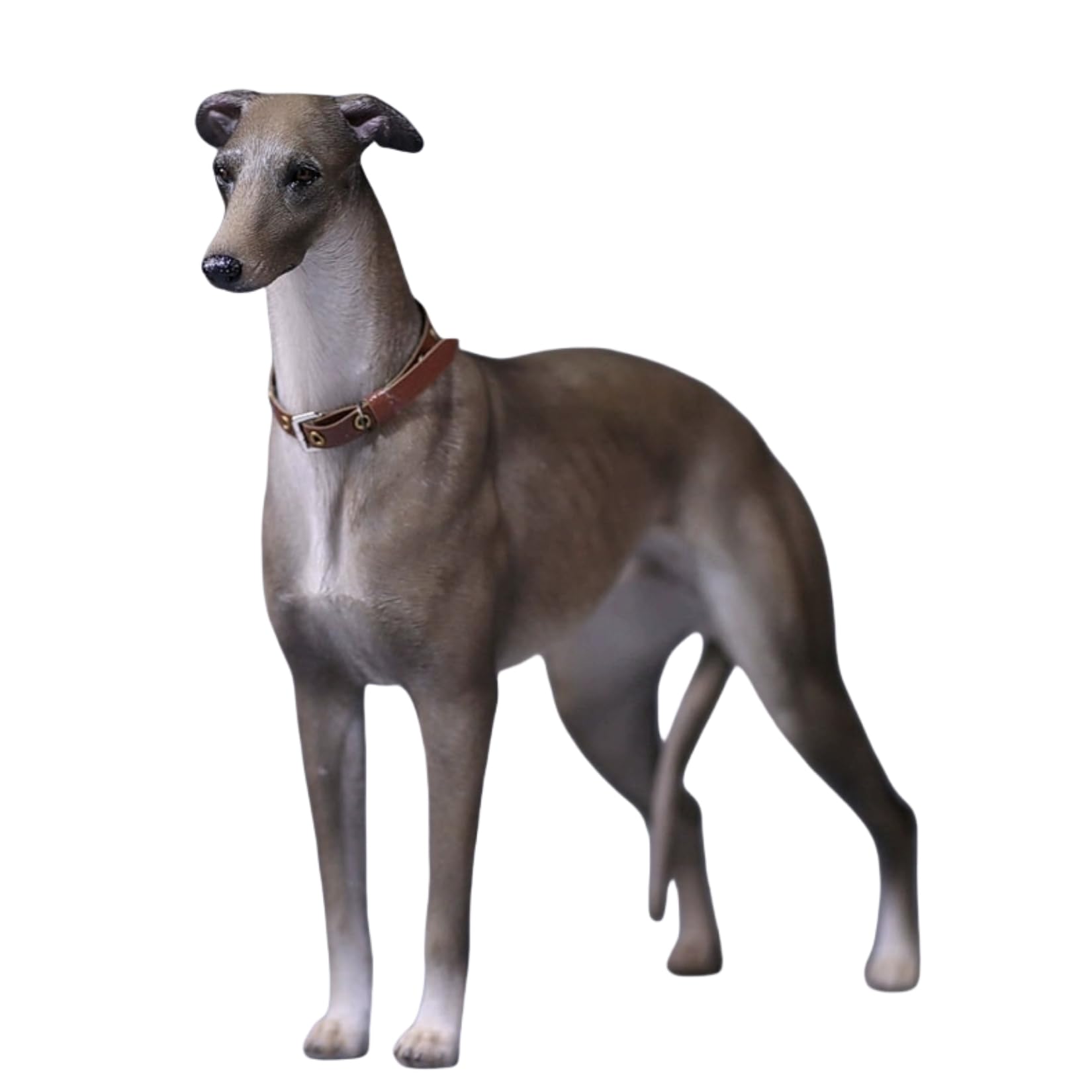 Amazon.co.jp: 1/6スケール イングリッシュ・グレイハウンド 犬