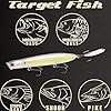 LUCKY CRAFT Gunfish 117 Freshwater Fishing Lures, Top Water Fishing Gear for Trout and Bass Fish, Spooks Cupped Mouth Walker, Long Casting Treble Hooks, 250 Chartreuse Shad #4