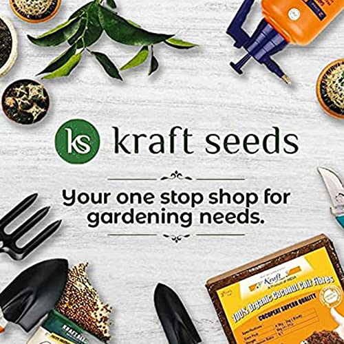 Kraft Seeds Assorted Hand Pruner Cutter - 1Pc (Steel Blades) | Heavy Duty Gardening Cutter Tool | Plant Cutter for Home Garden | Wood Branch Trimmer | Grass Cutting Accessories | Durable Stem Scissors