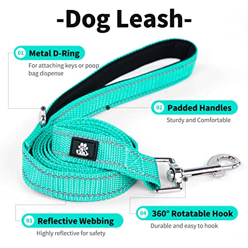 Ivy&Lane Reflective Dog Collar And Leash Set,Adjustable Neoprene Padded Dog Collars For Puppy thumb #2