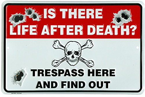 is There Life After Death? Trespass Here and Find Out - Novelty Metal No Trespassing Sign