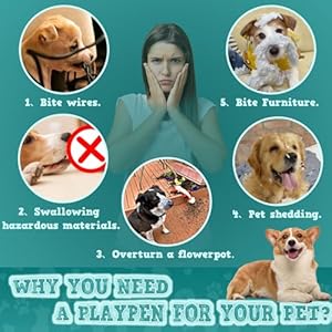 50x50x252 Inches Dog Playpen with Gate Pet Playpen for Puppies Dogs Dog Fence Puppy Playpen for Indoor  Outdoor Sturdy Safety Dog Pen with Thickened Fabric Highstrength Nylon Wire Mesh  Cucciolini Doodles 50x50x25 2 inches dog playpen with gate pet playpen for puppies dogs dog fence puppy playpen for indoor  outdoor sturdy safety dog pen with thickened fabric high strength nylon wire mesh   cucciolini doodles