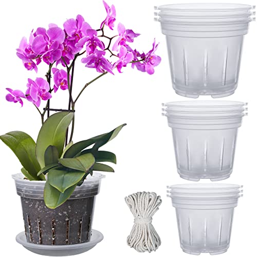 Orchid Pot, Clear Orchid Pot With Holes Plastic Orchid Pots, Orchid Breathable Slotted Pot With Trays For Replanting Indoor Outdoor Plant Breathable Slotted Orchids Nursery Pot ( 4.8In 5.5In 6.4In ) #TOP20