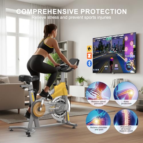 Image of Exercise Bikes for Home,Spin Bike with Adjustable Magnetic,Brake Pad Resistance Silent Belt Drive,350lbs /300lbs Weight Capacity &Upgraded Version Seat for Home Cardio&Weight Loss(QM-530W)