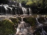 Neuseeland: Die Purakaunui Falls... oder... Herr Gerst auf Abwegen