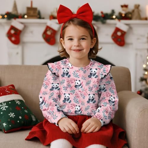 Winter Clothes for Girls 3-8 Cute Toddler Girl Outfits Basic Pullover Top2