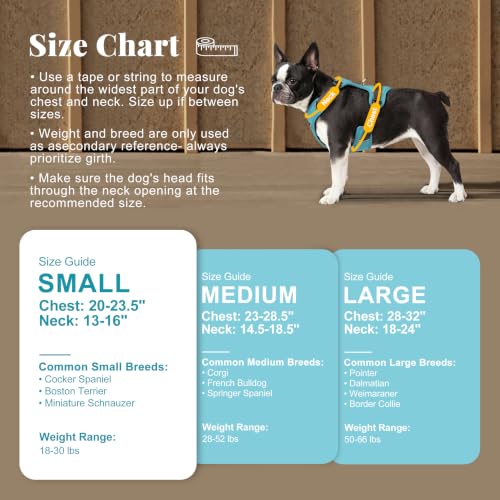 Image of Didog No Pull Dog Harness for Small Dogs, Classic PU Leather, Light Blue, S
